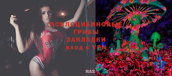 молекула духа Данков