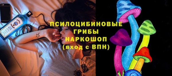Альфа ПВП Арсеньев
