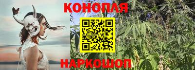 мдпв Аргун