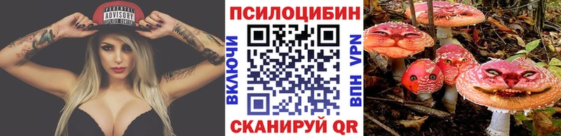 где купить наркоту  Всеволожск  Галлюциногенные грибы мицелий 