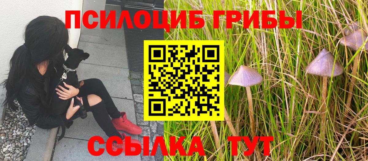 Псилоцибиновые грибы ЛСД  Вход с VPN  Псилоцибиновые грибы мухоморы  Всеволожск 